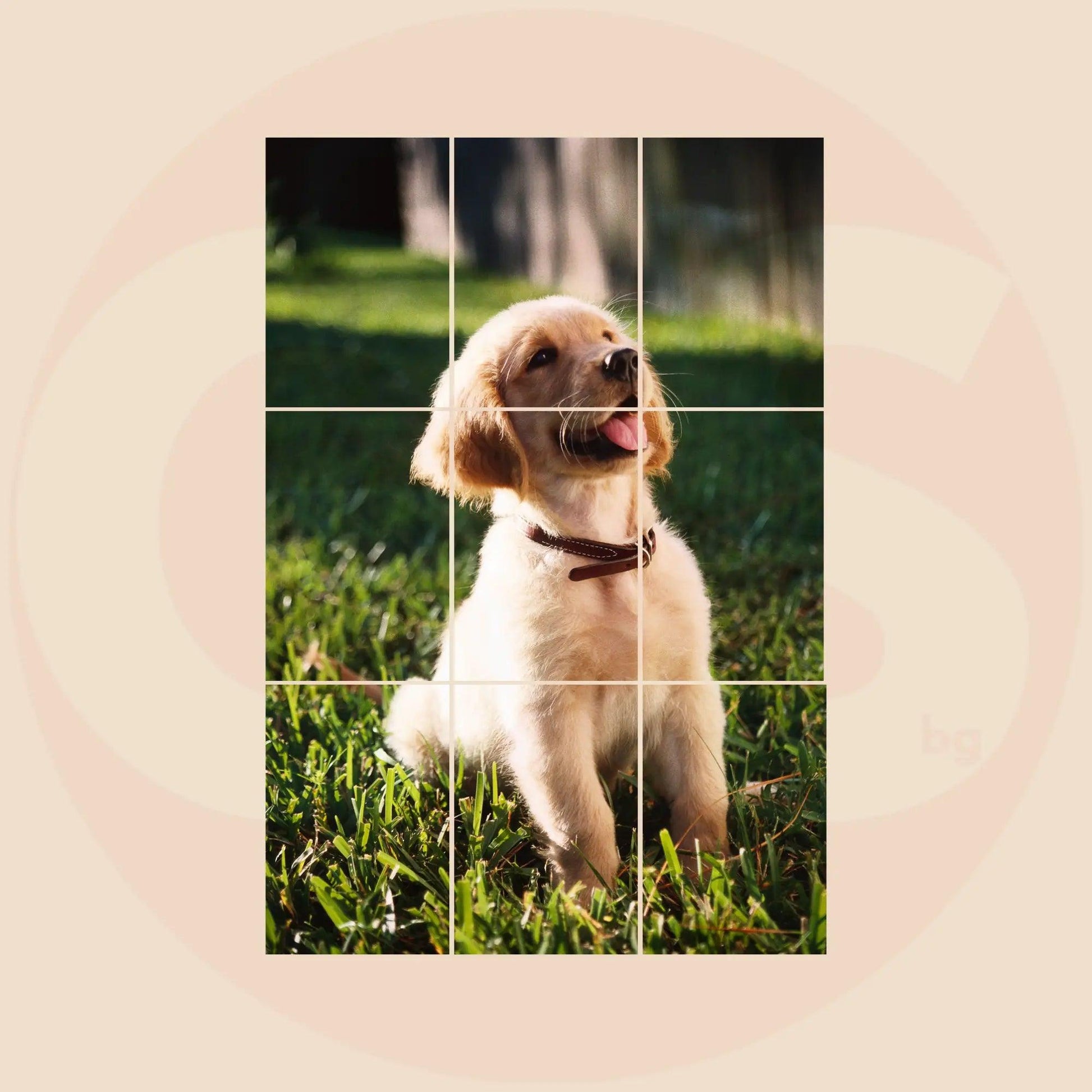 Пъзел от 9 магнитчета със снимки - GiftStop.bg